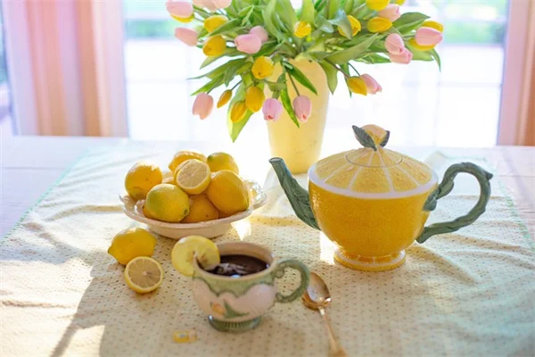 【実体験】菜園病虫害の原因特定から対策まで｜私が実践する3つのステップ