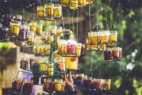 【無料でできる】段ボールを使った雑草対策、経験者が教える4つの裏技