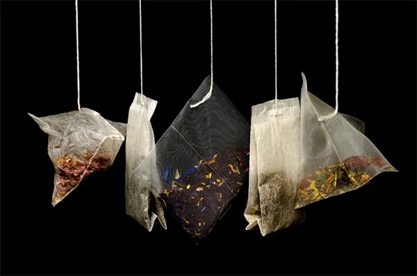 芽キャベツの抽薹を防ぐ！原因と実践テクニック