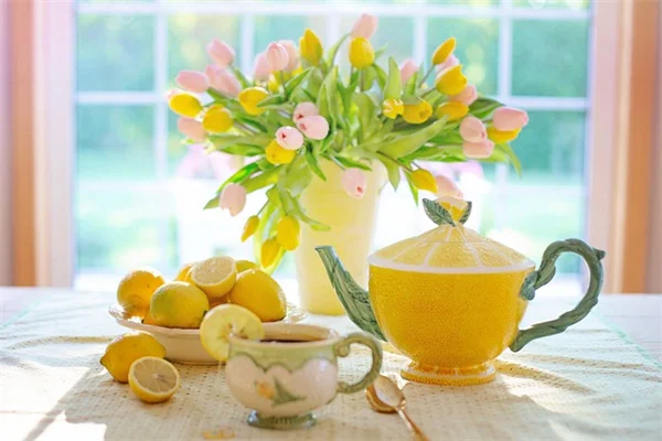 紫陽花の開花時期は品種や環境でこんなに変わる！